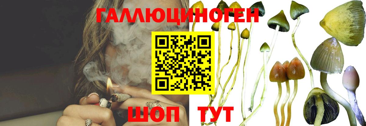 Галлюциногенные грибы GOLDEN TEACHER Бузулук