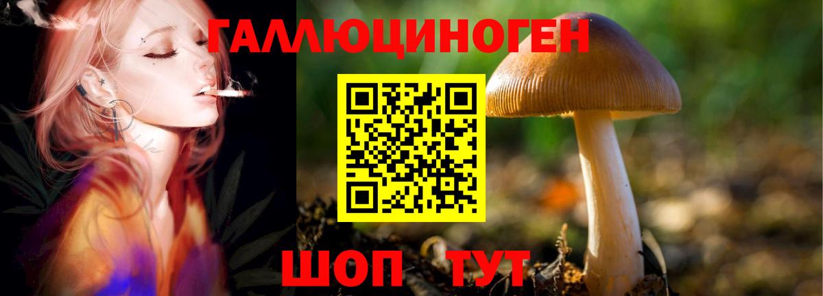 Псилоцибиновые грибы ЛСД  где можно купить наркотик  Бузулук  Вход с VPN 